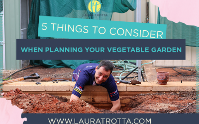 5 Things To Consider When Planning Your Vegetable Garden
