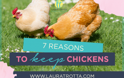 7 Benefits Of Keeping Backyard Chickens