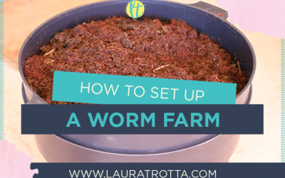 How To Set Up A Worm Farm