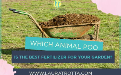 Which animal poo is the best fertilizer for your garden?