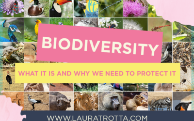 Biodiversity… What It Is and Why It’s So Important
