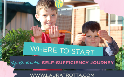 Where To Start Your Self Sufficiency Journey