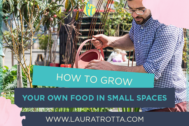 How To Grow Your Own Food In Small Spaces  …with Mat Pember of Little Veggie Patch Co