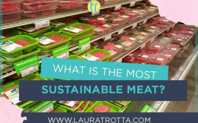 What Is The Most Sustainable Meat