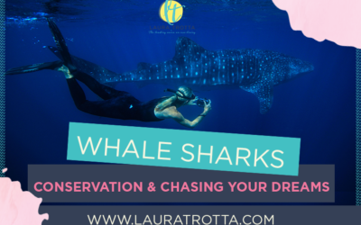 Whale Sharks, Conservation and Chasing Your Dreams with Samantha Reynolds of ECOCEAN