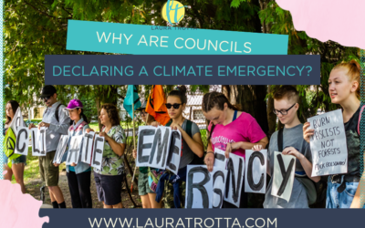 Why are Councils Declaring a Climate Emergency?