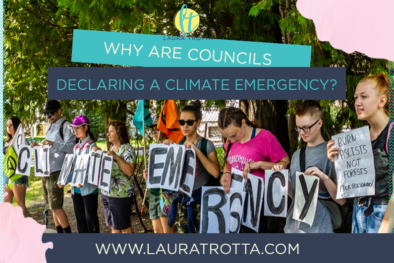 council climate emergency declaration