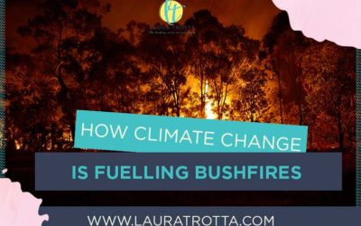 How Climate Change is Fuelling Bushfires with Greg Mullins