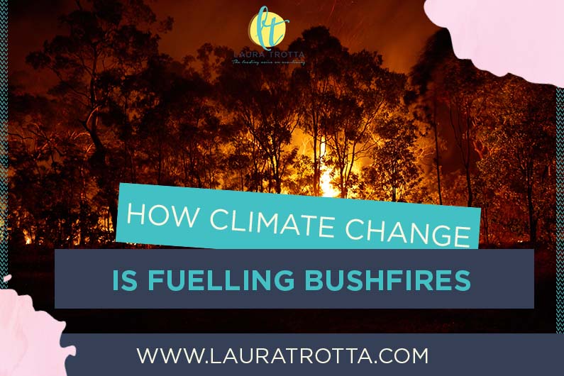Bushfires and climate change
