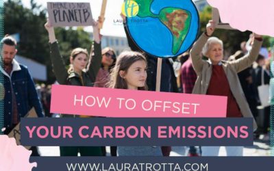 How To Offset Carbon Emissions
