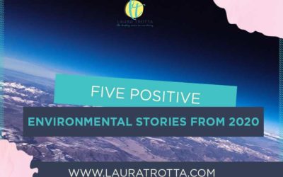 Five Positive Environmental Stories From 2020
